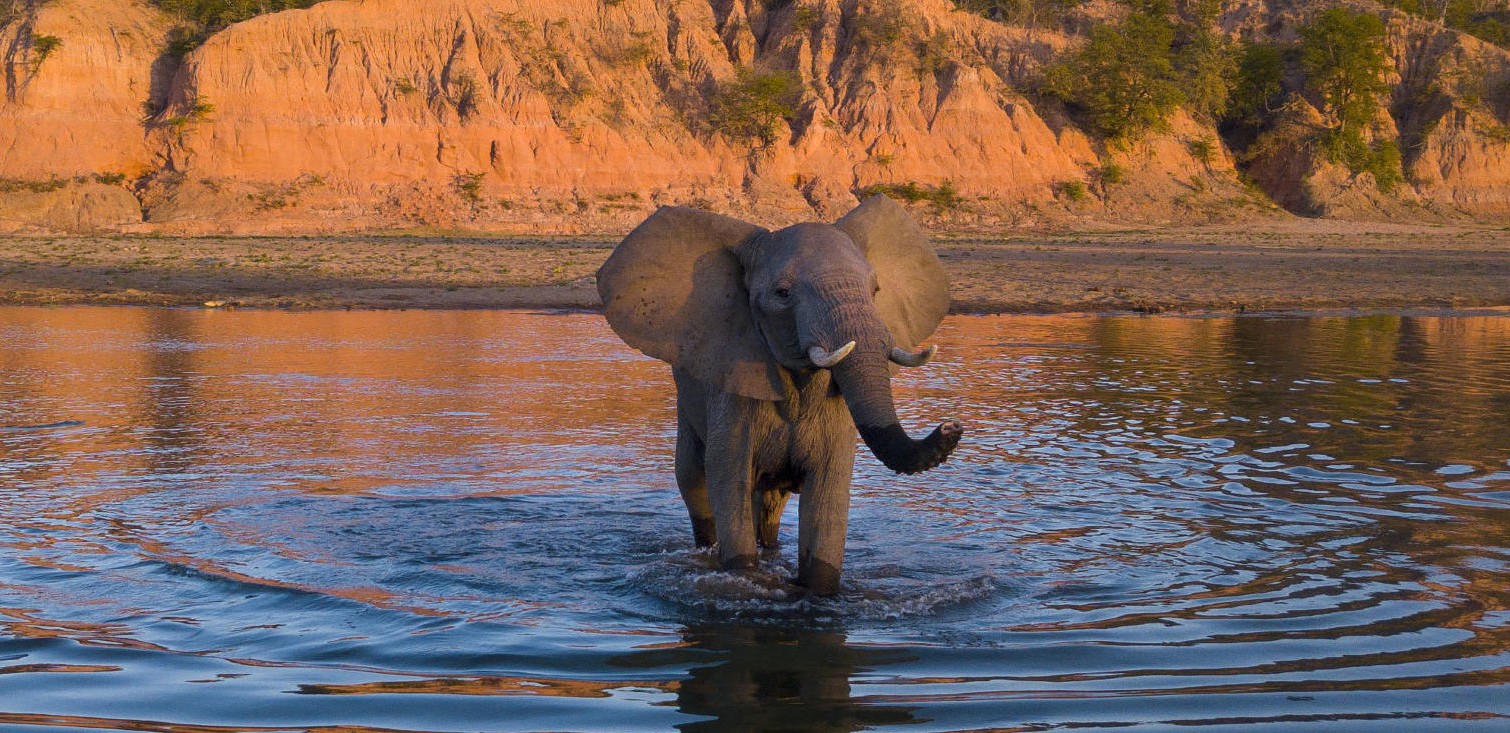 School Trip to Gonarezhou National Park - Chiredzi Central Academy